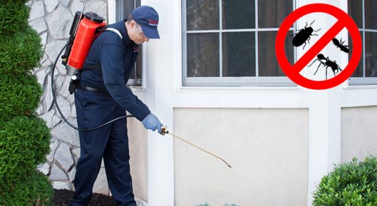 Dumlupınar Sivrisinek İlaçlama böcek ilaçlama ve haşere kontrolü — ilaclama-tr.com